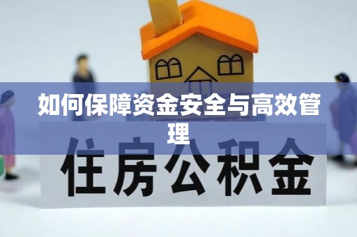 口湖如何保障资金安全与高效管理