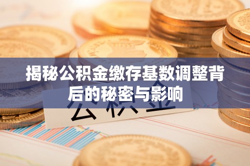 口湖揭秘公积金缴存基数调整背后的秘密与影响