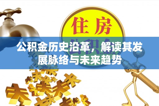 口湖公积金历史沿革，解读其发展脉络与未来趋势