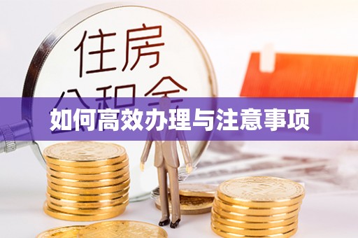 口湖如何高效办理与注意事项