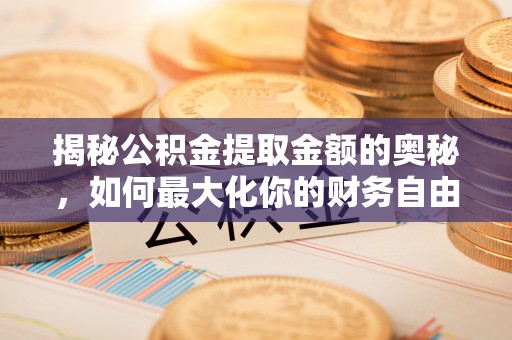 口湖揭秘公积金提取金额的奥秘，如何最大化你的财务自由