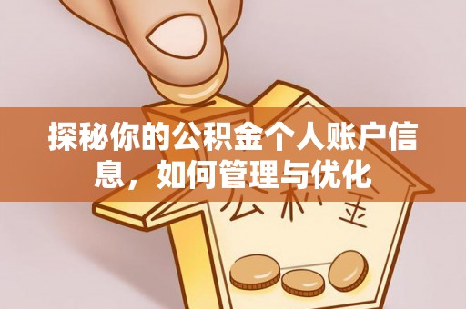 口湖探秘你的公积金个人账户信息，如何管理与优化