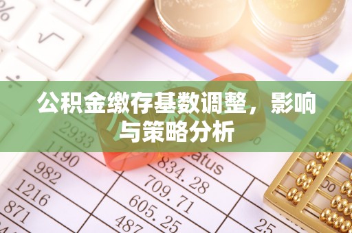 口湖公积金缴存基数调整，影响与策略分析