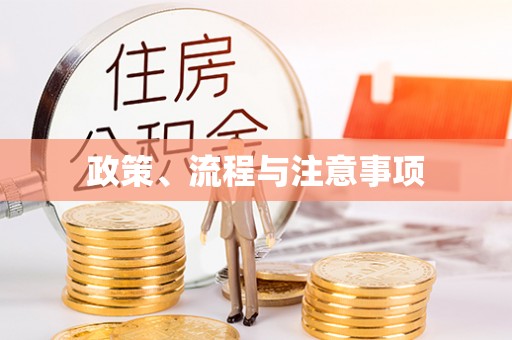 口湖政策、流程与注意事项