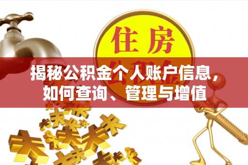 口湖揭秘公积金个人账户信息，如何查询、管理与增值