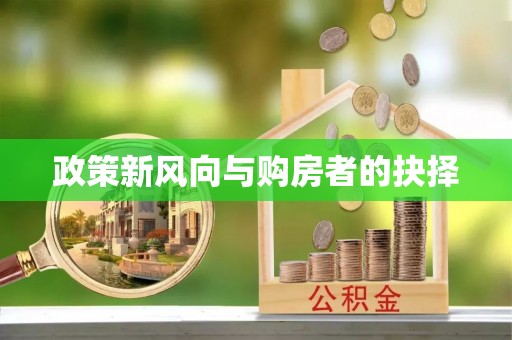 口湖政策新风向与购房者的抉择
