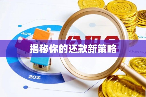 口湖揭秘你的还款新策略