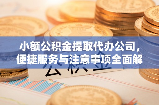 口湖小额公积金提取代办公司，便捷服务与注意事项全面解析