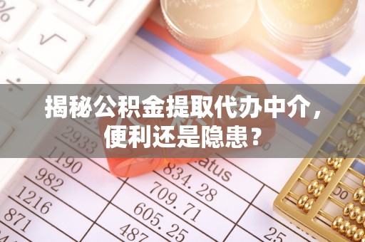 口湖揭秘公积金提取代办中介，便利还是隐患？