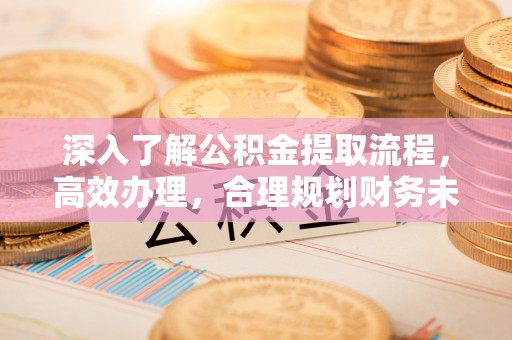 口湖深入了解公积金提取流程，高效办理，合理规划财务未来