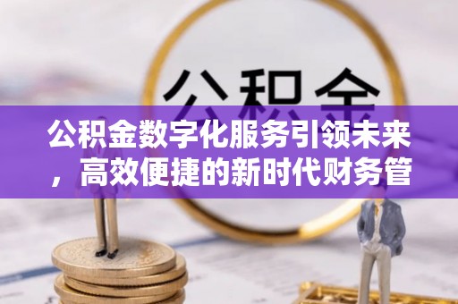 口湖公积金数字化服务引领未来，高效便捷的新时代财务管理