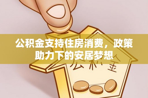 口湖公积金支持住房消费，政策助力下的安居梦想
