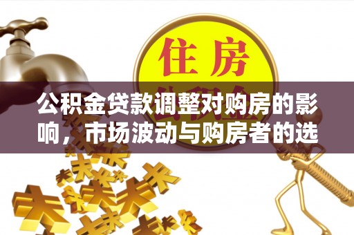 口湖公积金贷款调整对购房的影响，市场波动与购房者的选择