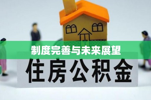 口湖制度完善与未来展望