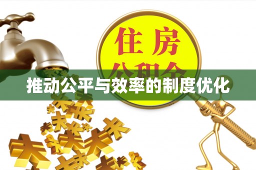 口湖推动公平与效率的制度优化