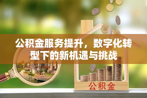 口湖公积金服务提升，数字化转型下的新机遇与挑战