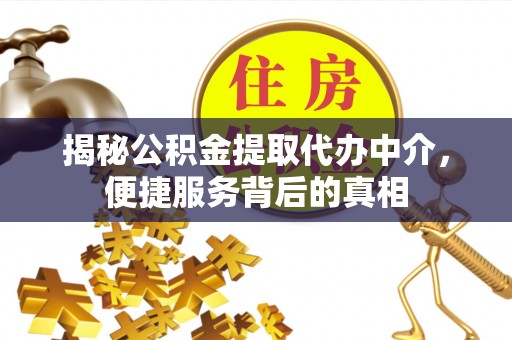 口湖揭秘公积金提取代办中介，便捷服务背后的真相