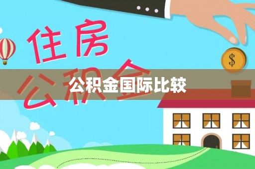 口湖公积金国际比较