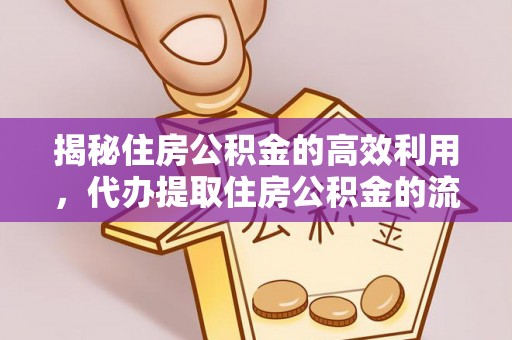 口湖揭秘住房公积金的高效利用，代办提取住房公积金的流程与技巧