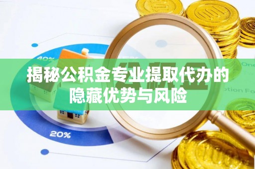 口湖揭秘公积金专业提取代办的隐藏优势与风险