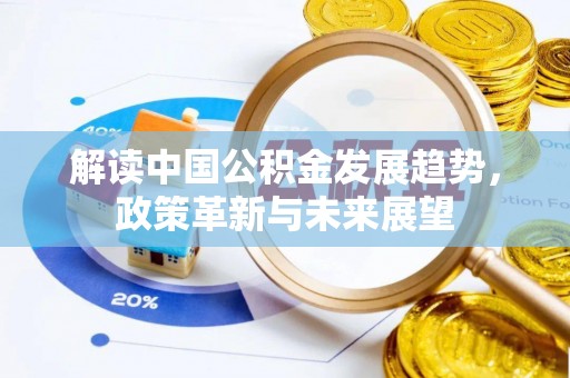 口湖解读中国公积金发展趋势，政策革新与未来展望