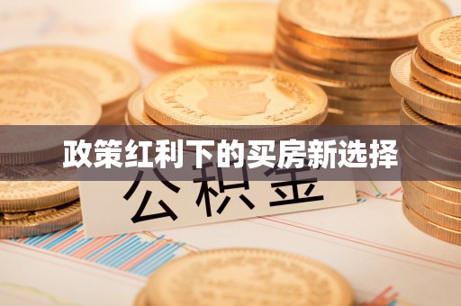 口湖政策红利下的买房新选择