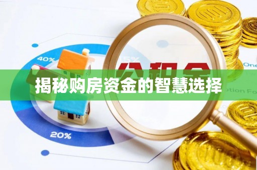 口湖揭秘购房资金的智慧选择