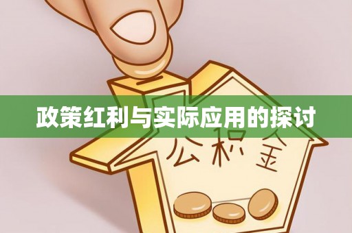 口湖政策红利与实际应用的探讨