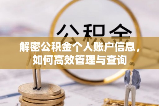 口湖解密公积金个人账户信息，如何高效管理与查询