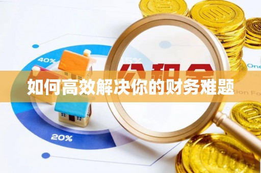 口湖如何高效解决你的财务难题