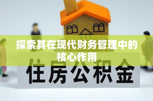 口湖探索其在现代财务管理中的核心作用