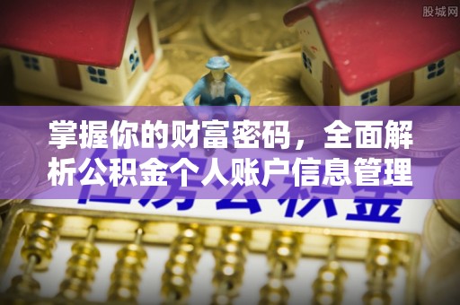 口湖掌握你的财富密码，全面解析公积金个人账户信息管理