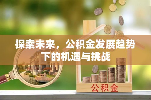 口湖探索未来，公积金发展趋势下的机遇与挑战