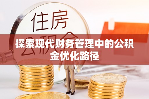 口湖探索现代财务管理中的公积金优化路径