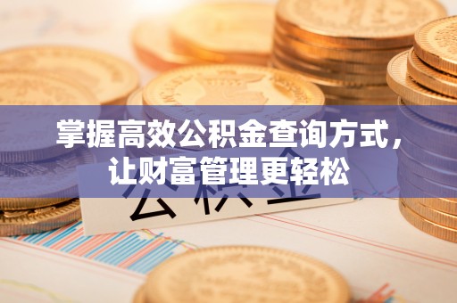 口湖掌握高效公积金查询方式，让财富管理更轻松