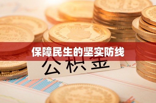 口湖保障民生的坚实防线