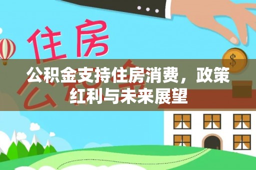 口湖公积金支持住房消费，政策红利与未来展望