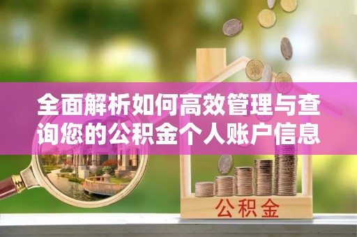 口湖全面解析如何高效管理与查询您的公积金个人账户信息