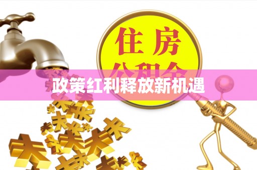 口湖政策红利释放新机遇