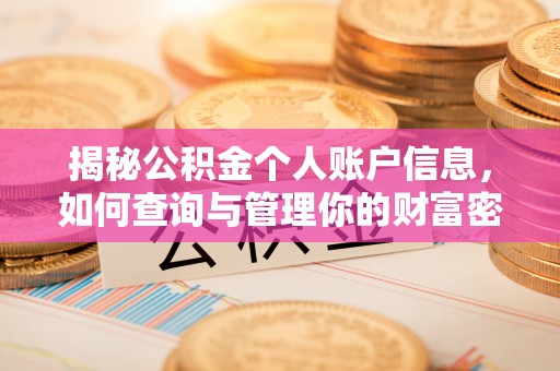 口湖揭秘公积金个人账户信息，如何查询与管理你的财富密码