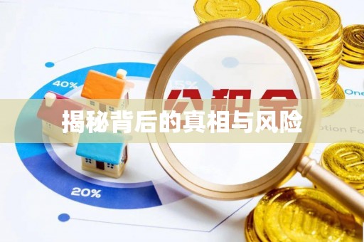 口湖揭秘背后的真相与风险
