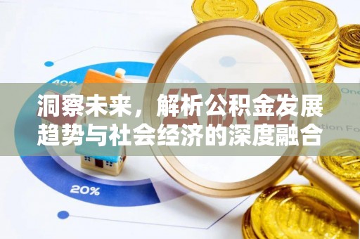 口湖洞察未来，解析公积金发展趋势与社会经济的深度融合