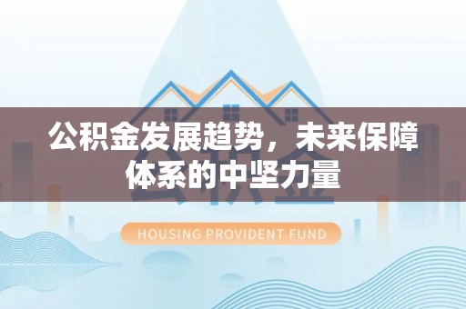 口湖公积金发展趋势，未来保障体系的中坚力量