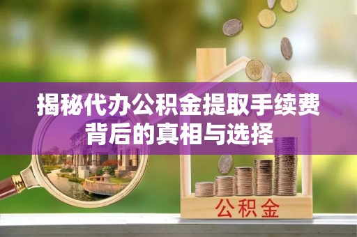 口湖揭秘代办公积金提取手续费背后的真相与选择