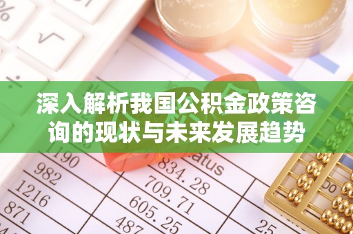 口湖深入解析我国公积金政策咨询的现状与未来发展趋势