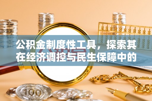 口湖公积金制度性工具，探索其在经济调控与民生保障中的重要作用