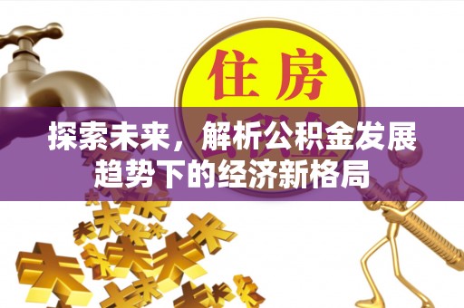 口湖探索未来，解析公积金发展趋势下的经济新格局