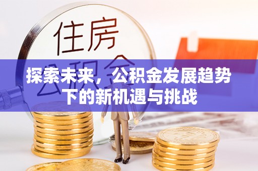 口湖探索未来，公积金发展趋势下的新机遇与挑战
