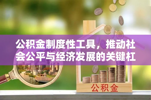 口湖公积金制度性工具，推动社会公平与经济发展的关键杠杆