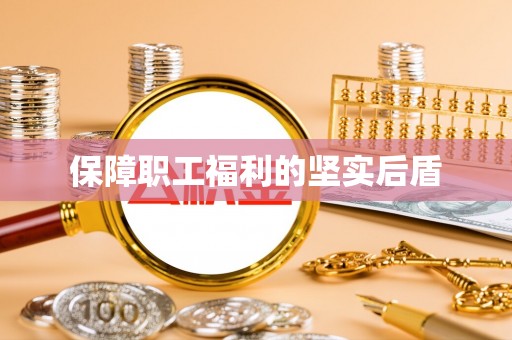 口湖保障职工福利的坚实后盾